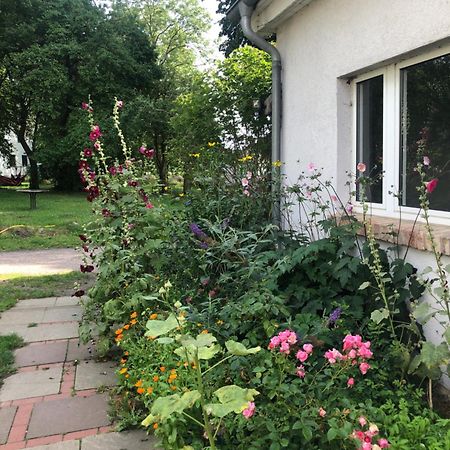 Cabana In Zweedorf An Der Ostsee Apartment Cameră foto